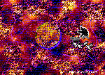 CITYBUFFLE 1copie.gif
